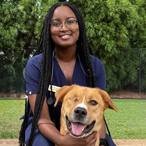 Dr. Morgan Brathwaite, Cumming Veterinarian